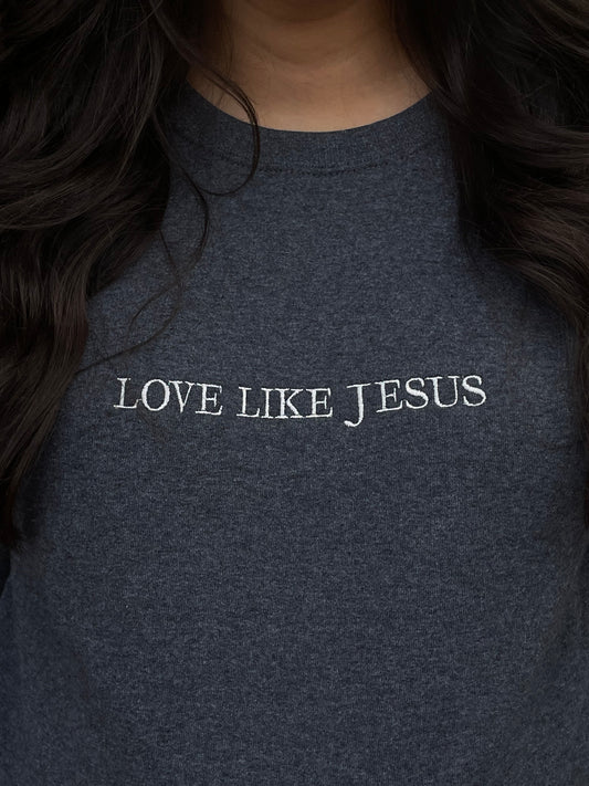 E&M  "LOVE LIKE JESUS" Sweatshirt & Hoodie